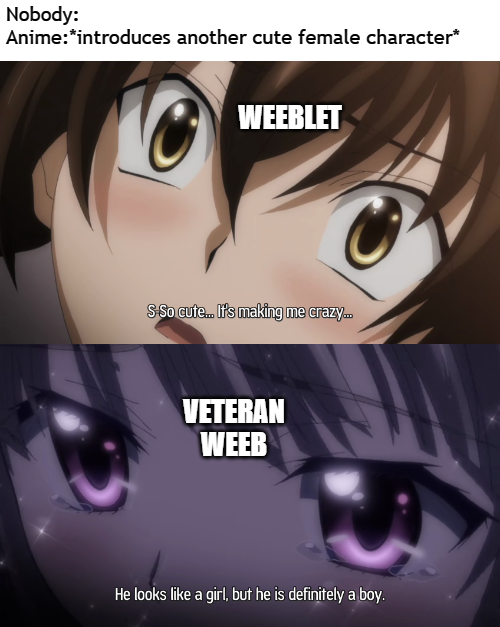 r/animemes on Twitter: r/animemes on Twitter: