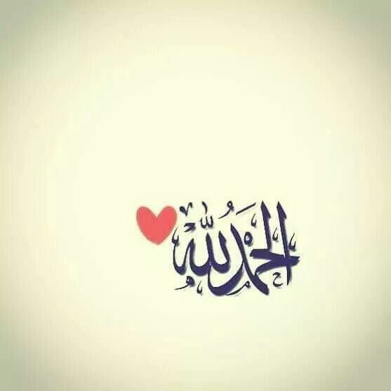 حربيه tweet media