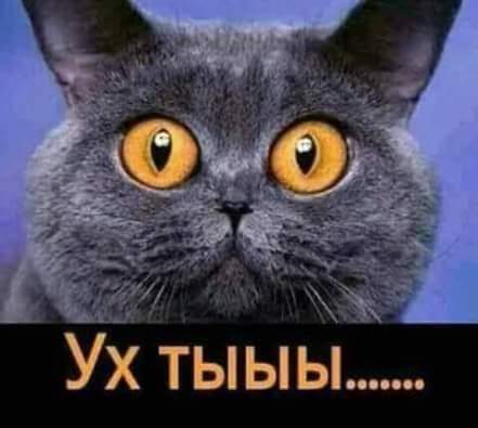 Что это будет уже 11. Теребонька царь. Сколько тебе лет прикол. Когда уже будет лето. Дерпина (ололоева).