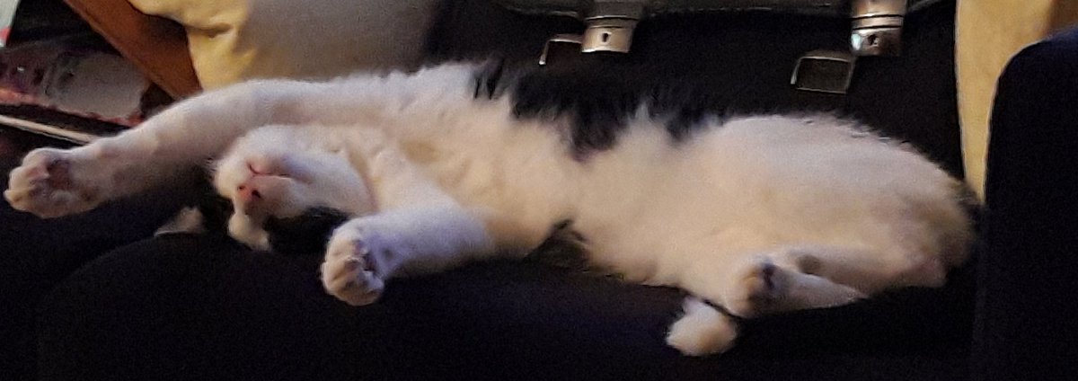 Landinzicht_'s tweet photo. Bankhangen 2.0

#zaterdag
#zaterdagavond 
#MaxSpam 

(@MissyFrissie are you watching😘) https://t.co/KJi3itFRFe
