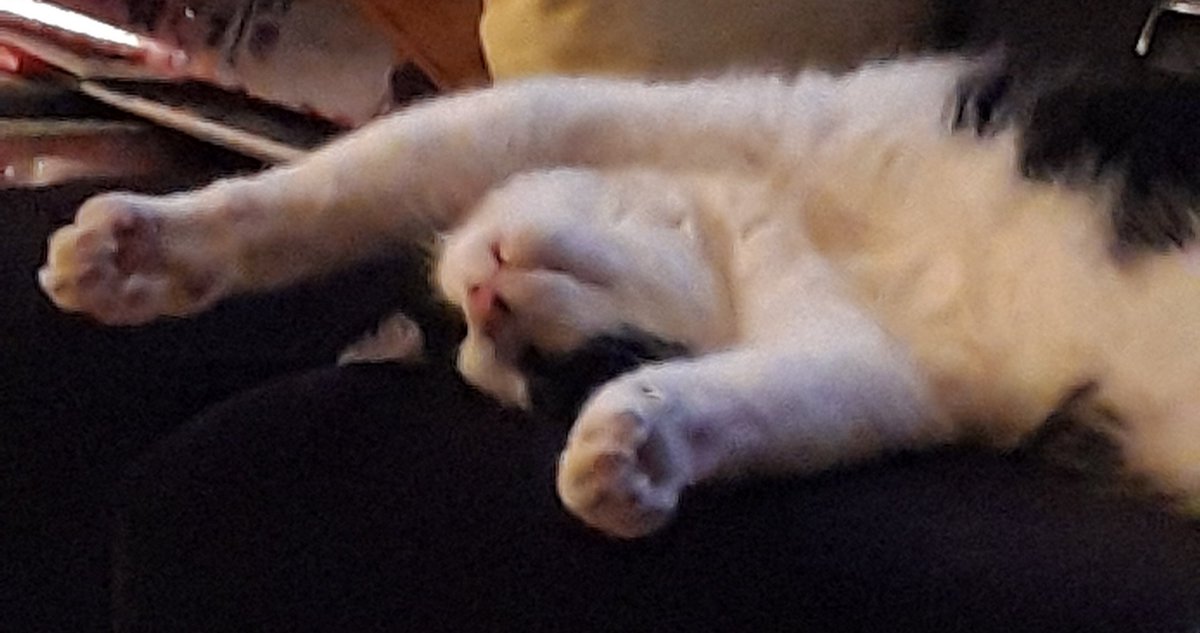Landinzicht_'s tweet photo. Bankhangen 2.0

#zaterdag
#zaterdagavond 
#MaxSpam 

(@MissyFrissie are you watching😘) https://t.co/KJi3itFRFe