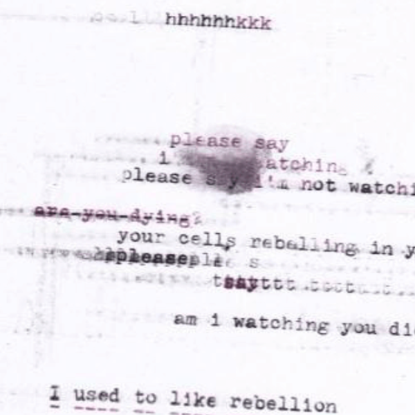 MaynardPoetry's tweet photo. In our Fall 2017 issue, Dani Spinosa's "Rebelling" articulates a disillusionment with rebellion. Read the full poem here: https://t.co/Zm810geb4C
#poetry #readpoetry #TheMaynard #TMarchive #TMViewsSeries #TMcontributors #TMWednesdayTheme #TMFall2017 #TMinterviews https://t.co/Szj8tUY1g0