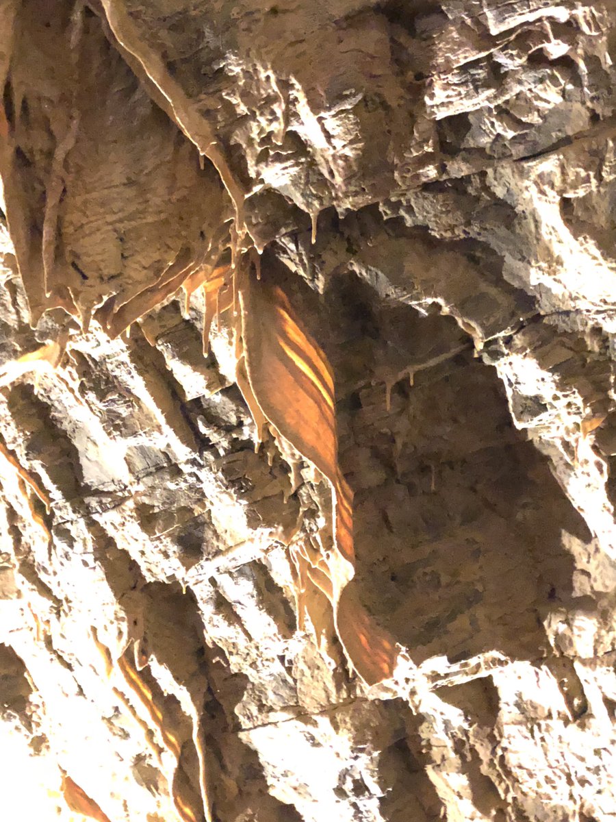 kadusey2's tweet photo. Here are some of my favorite #calcite speleothems from the Minnetonka Caves in Idaho, near Bear Lake. https://t.co/ZkqcPml7eZ