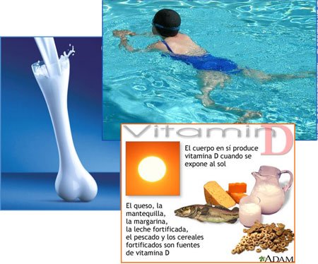 Durante la vida adulta, desde los 20 a los 60 años, nuestro objetivo respecto a la salud ósea debe ser evitar la pérdida ósea prematura y mantener un esqueleto sano.