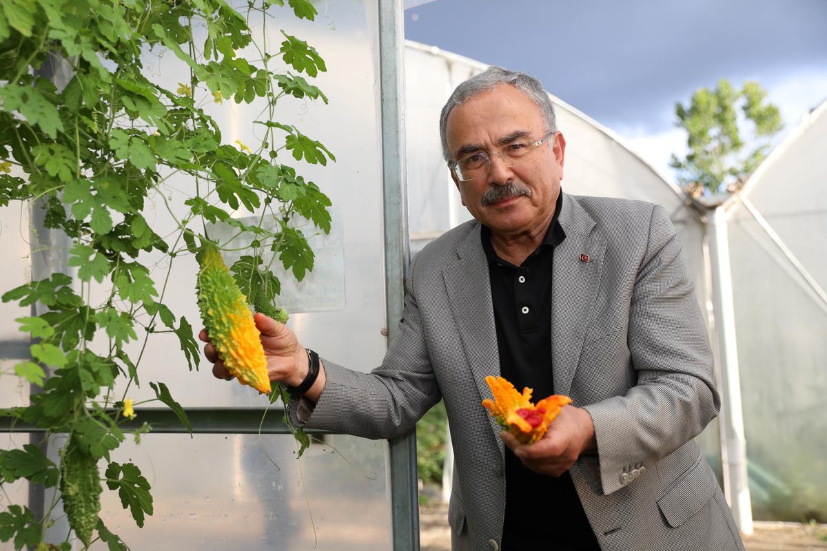 Mehmet Hilmi Güler