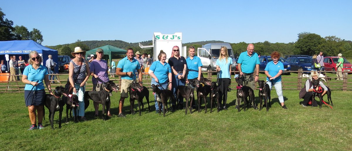 MSLILAK's tweet photo. I had a fabulous day at The @celiacross Greyhound Trust annual Charity Sale and Greyhound Parade today! Look at these beautiful dogs, who are looking for homes. ❤️ https://t.co/yCVJ3d4uhi