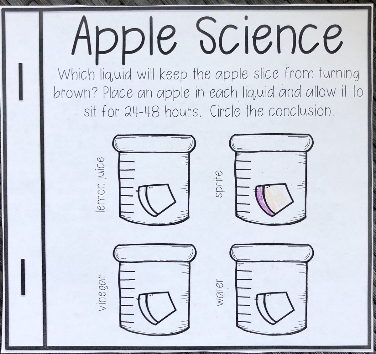 The kids had fantastic discussions about what would keep the apple from turning brown. See my replies for a link to my FB post. I shared what they said and it’s too funny. The prediction is colored and on Monday we will circle the outcome. #iteachfirst #appleinvestigation