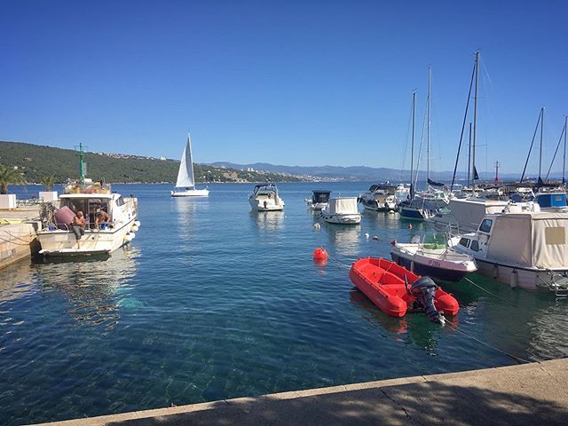 patoriku's tweet photo. Late summer sea smell
.
.
.
.
#sea #seaside #croatiancoast #croatia #nofilter https://t.co/clMjpZMUE5 https://t.co/gZFocvHW2S
