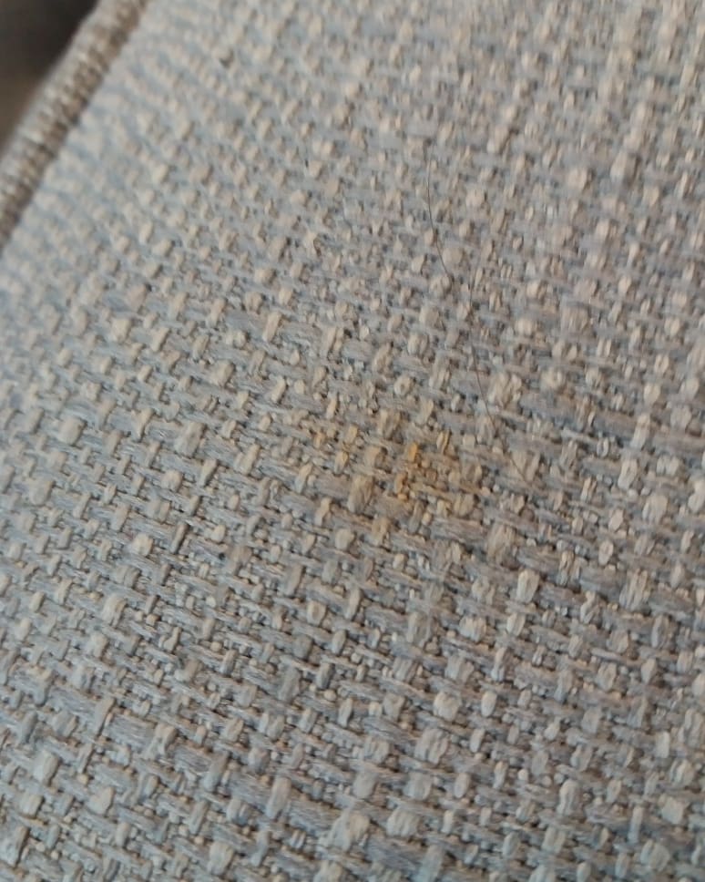 CosmicCleaning2's tweet photo. Oily stain, pink pen, chewing gum and a spot of St Tropez...ALL GONE, and in RECORD TIME due to our new upholstery tool. 😁

On top of all that, fantastic clients who keep the coffee flowing. 😎

For more information, check out https://t.co/Upfhdwzf5l

#upholsterycleaning https://t.co/cy8sz3E1k2