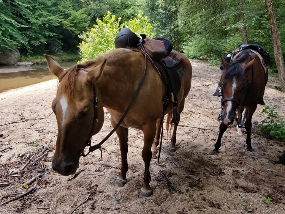 YourMktgTeam's tweet image. Enjoying a Saturday out on the trail. What are you up to? #GetPersonal