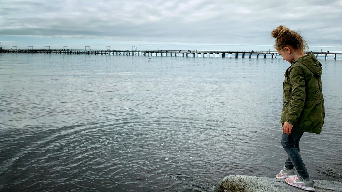 predictiveDSGN's tweet image. Canada’s longest pier reopens in @Explore_WR ! ♥️🇨🇦

@PeaceArchNews @SouthRockBuzz @CBCVancouver @cbcnewsbc @whiterockcity @CityofSurrey @City_tv