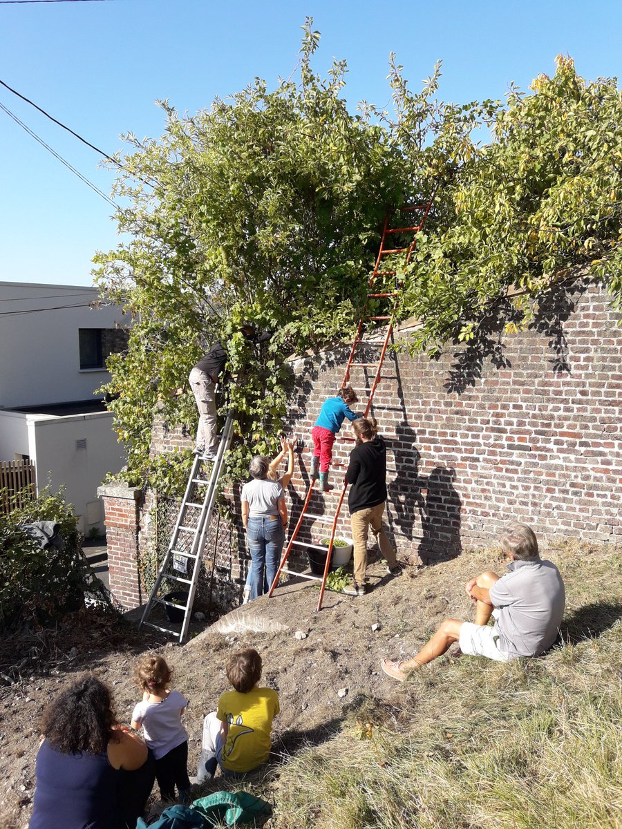 Palou8176's tweet photo. Magnifique journée de #VivreEnsemble #vendanges2019 @Rouen @BG76230 avec la récolte de jolies grappes de raisin #vigne chez des particuliers voisins de l'association #InVignoMeritas @RotaryFR @Gilbert_Renard @ssvpfrance https://t.co/RXSirPOBpZ