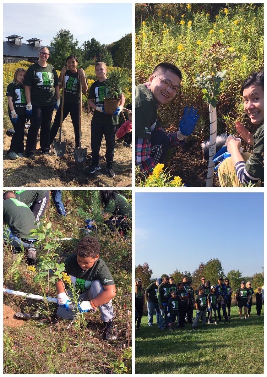 Another successful TD tree day at Purple Woods! Perfect weather helped us get through it! #tdtreedays #TheReadyCommitment @NeilR_Durham <a href="/scott_belton/">Scott Belton</a>