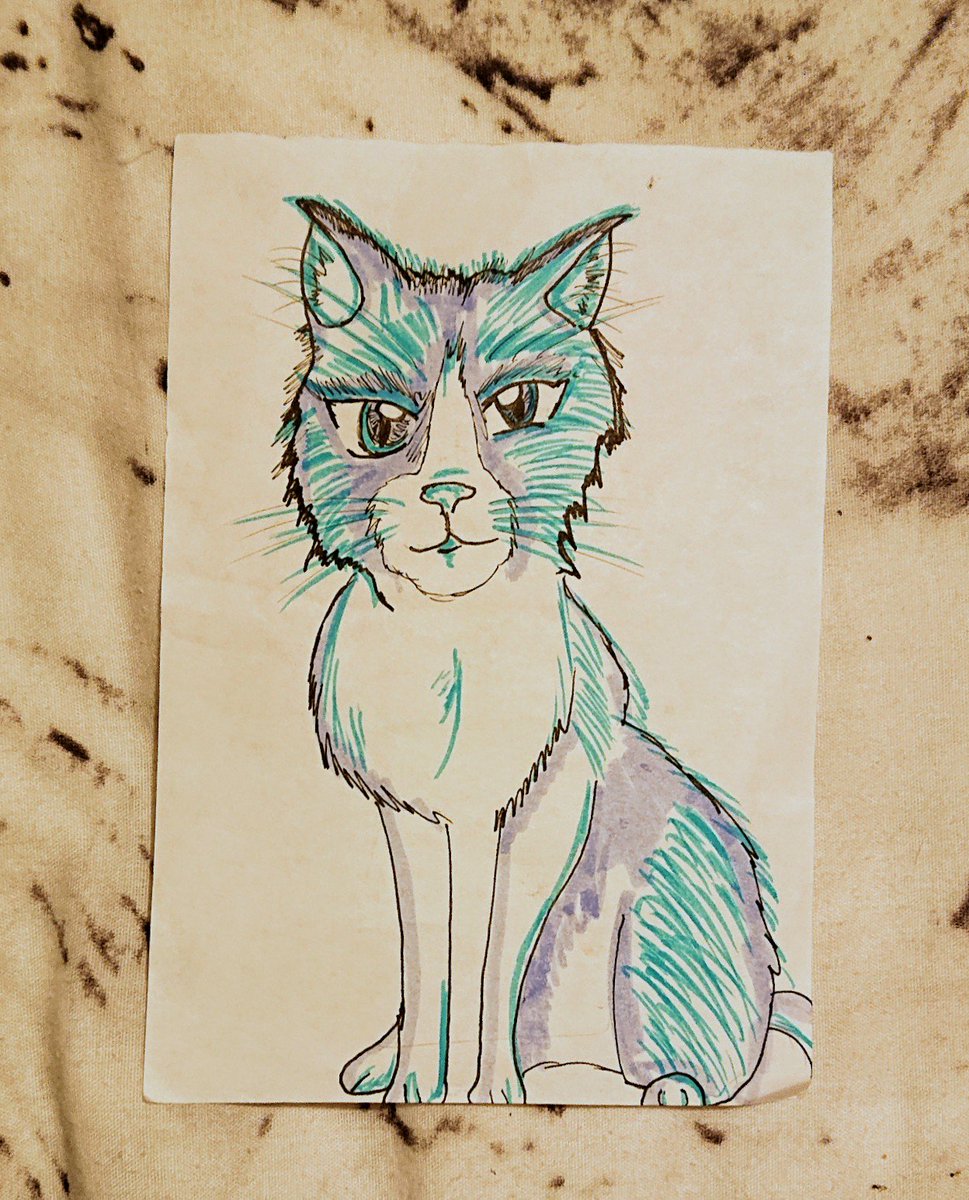 _Nique87's tweet photo. Found some art given to me as a gift by @zoe_let my own Egyptian pony and Anime kitty's 😻
#cats #justcats #catart #cat #CatsOfTwitter #catclub #catlove #lovecats #kitty #kittykitty #kittycat #kittygirl #kittyworld https://t.co/IjxAGDVfDv