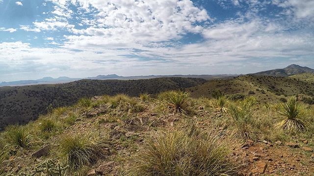 Sky Island 25k - pretty course, hilly and tough, but v. pretty! ift.tt/2LJbUgE