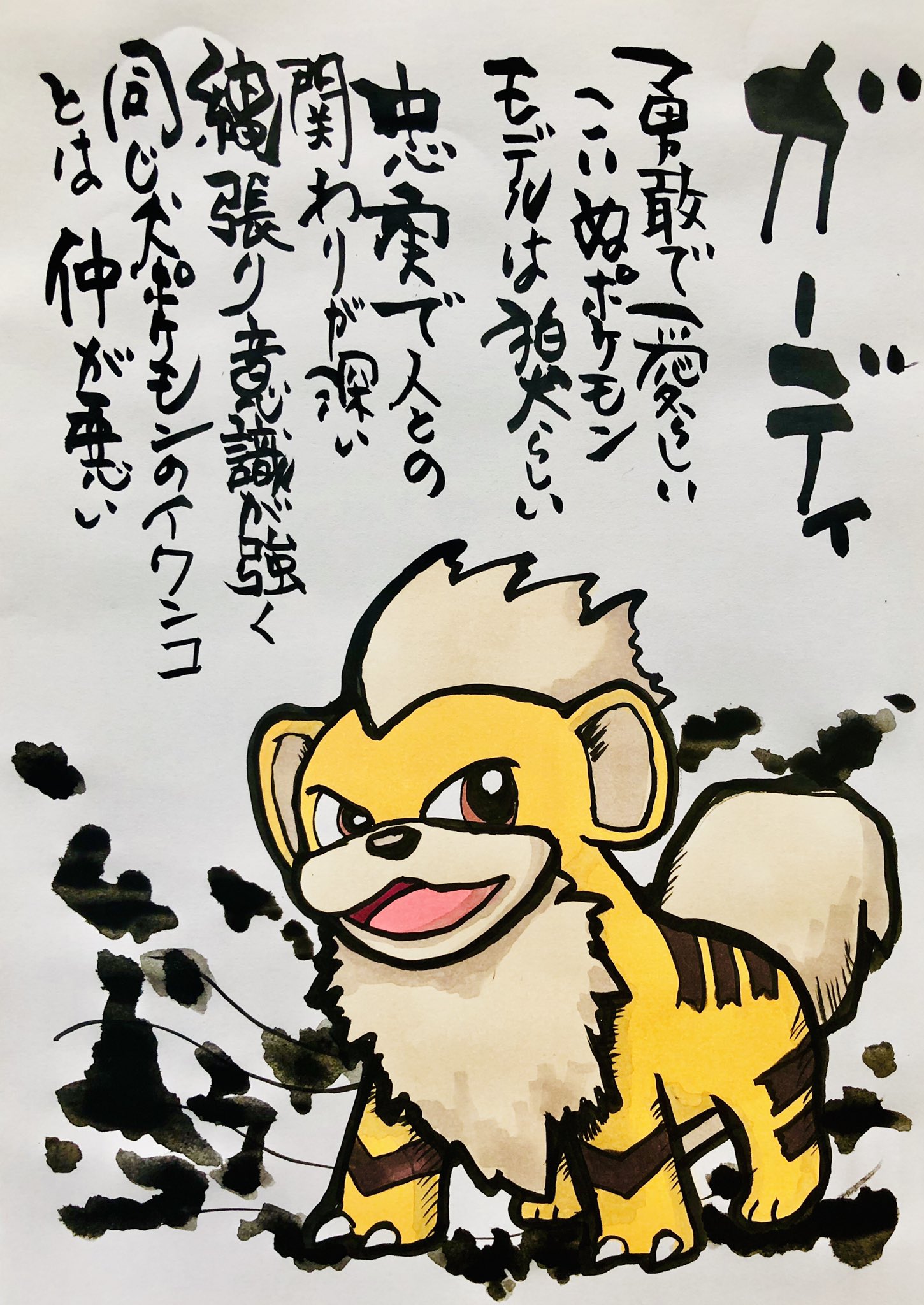 Twitter এ Aki Shimamoto ポケモン絵師休憩中エネルギーアートクリエーター 筆ペンでポケモンを描く ガーディ 勇敢で愛らしいこ いぬポケモン モデルは狛犬らしい 忠実で人との関りが深い 縄張り意識が強く 同じ犬ポケモンのイワンコとは仲が悪い ポケモン