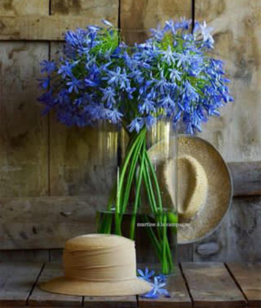 MIRIAN_RD🇩🇴 #LoveDMami ❤AmigosD❤ tweet media