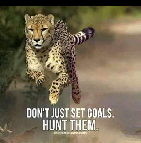 FriendzComunity's tweet photo. What goals have you set this week.

And are you ready to hunt... https://t.co/iQUbT7ngVQ
