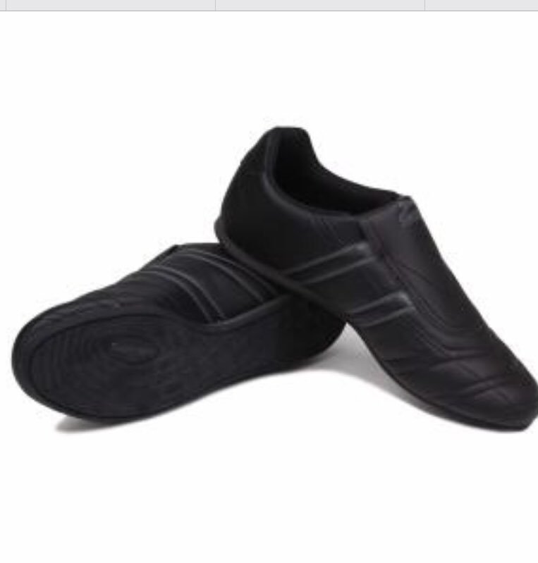 champ fans shoes