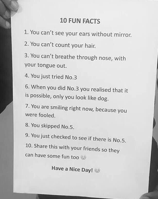 batonman09's tweet photo. A bit of fun -  wishing all the very best of good health and happiness - night!😊 https://t.co/6jxhUB6mhG