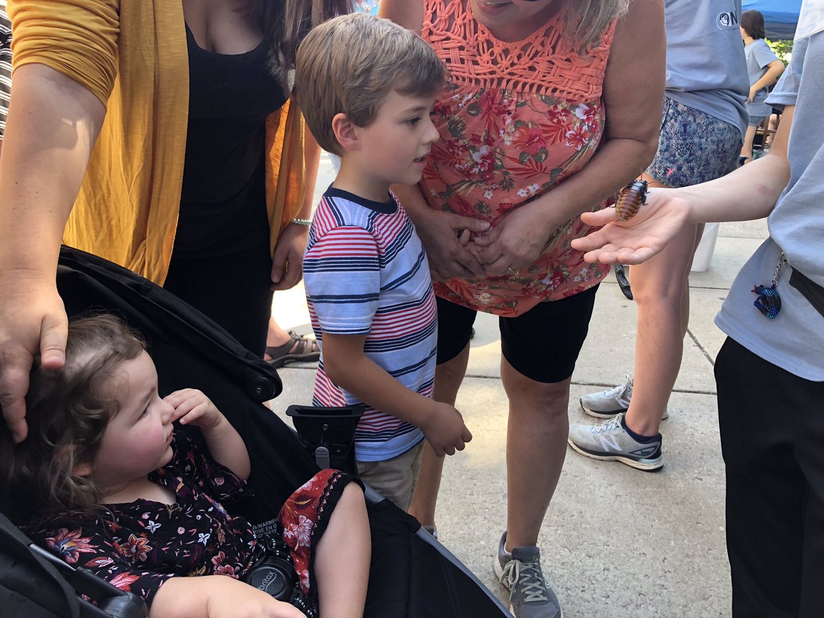 Voldenae's tweet photo. Today we took my daughter and my nephew to #Bugfest at the @naturalsciences museum where we pet roaches and ate mealworms and crickets prepared in various tasty ways.
#ncmns #ncmuseumofnaturalsciences #bugfest2019 https://t.co/fPPfav0W83