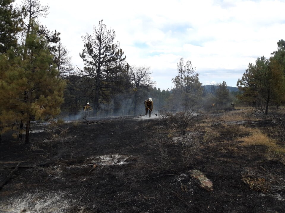 MountainFIDO's tweet photo. Working safely “in the black” (areas of burned fuels), firefighters on the #baldmountainfire reduce the possibility of fire growth https://t.co/txOH0oDdv8