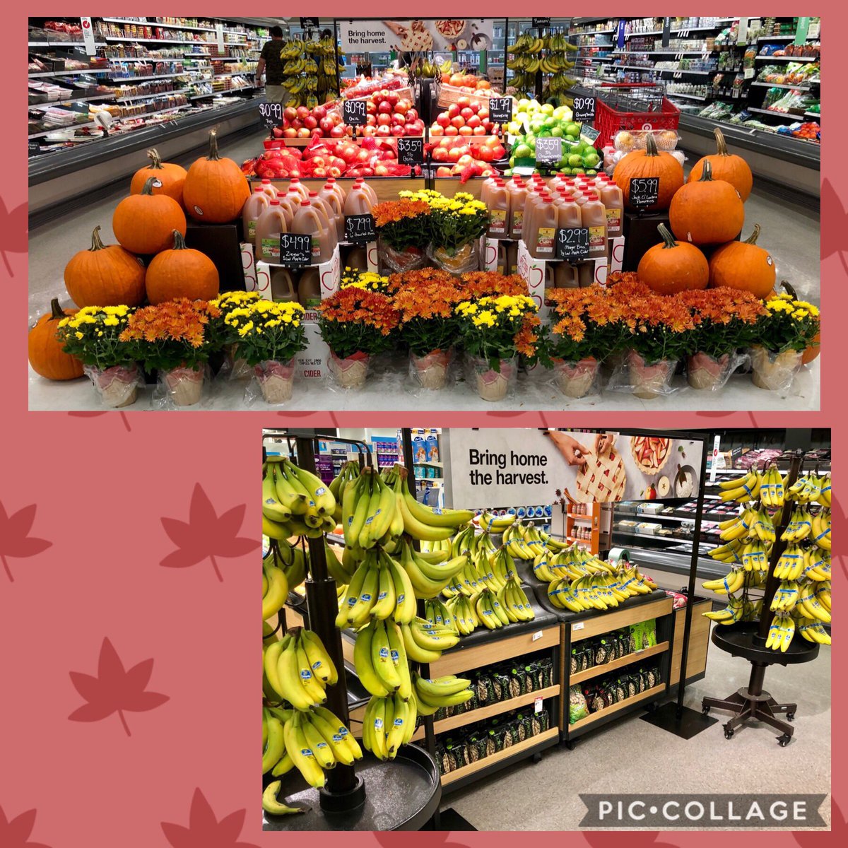 AKinthiseng's tweet photo. #T1314 had an UnBeLeafAble week resetting our Gourdeous PFresh Garden! #FallForAll with Crisp Apples, Fresh Cider, Mums, Pumpkins and @Target‘s Newest Brand items #GoodAndGather. Great Job Team! #BluffinAintEasy #ButItSureIsFun #D117 #G194 @BreeFromTarget @kenz_byrd @Tim_Heit https://t.co/pne006tMtq
