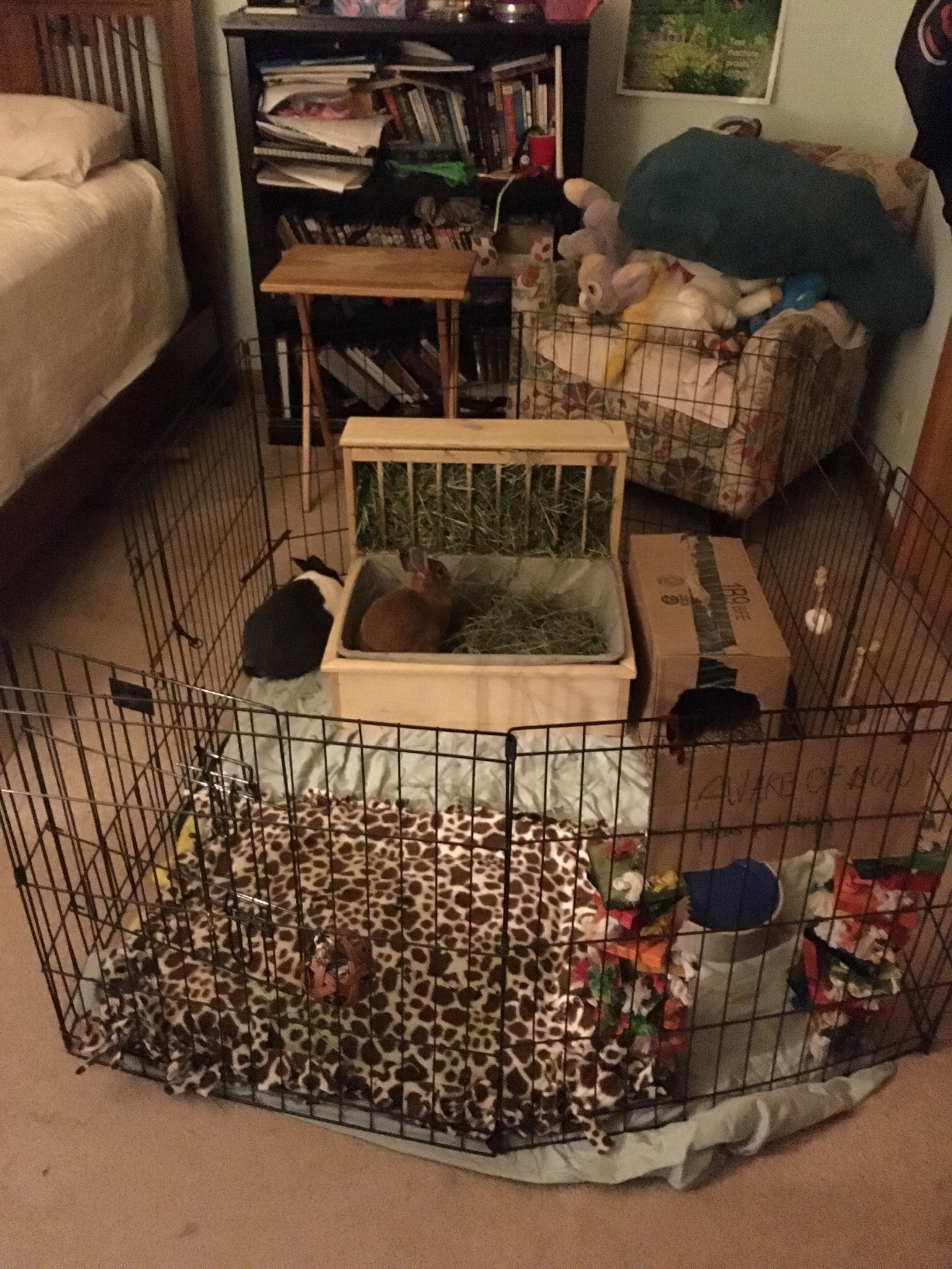Rabbit cage in bedroom sale