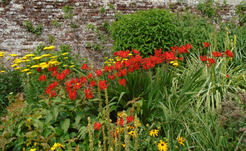 pilgrimrose's tweet photo. A Dialogue With Flowers https://t.co/2Y3TI1DHlR < #flowers #ParhamHouse #Elizabethan https://t.co/TbWInvXbKU