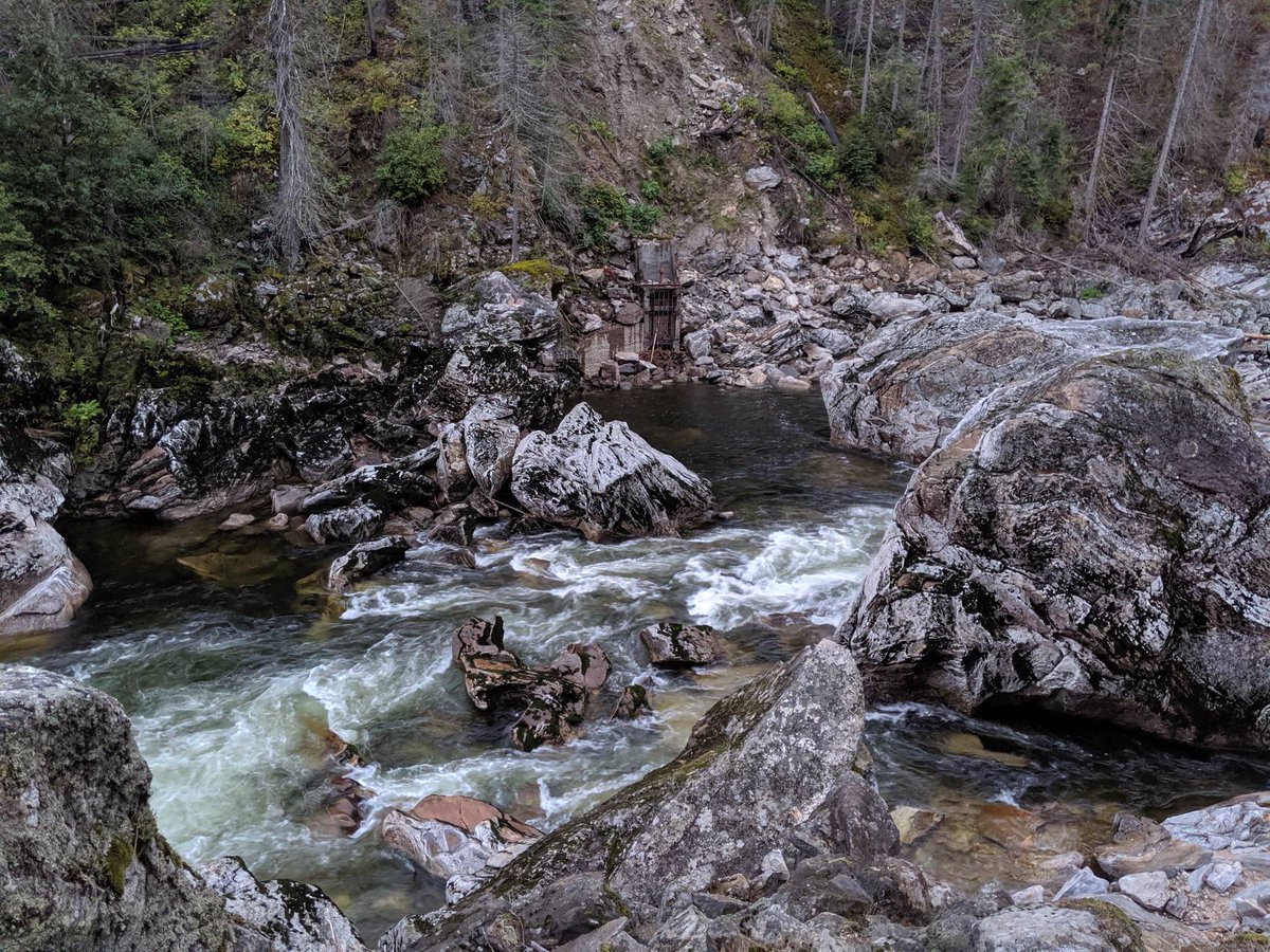 Wendy_Irene's tweet photo. Selway Falls
Enjoying the beauty of the Idaho Mountains.
#Selway #selwayriver #idaho #mountains #givelovecreatehappiness @wendyandclark #getoutdoors #fall https://t.co/tlUjFylsvL