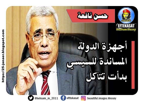 حسن نافعة أجهزة الدولة المساندة للسيسي بدأت تتآكل