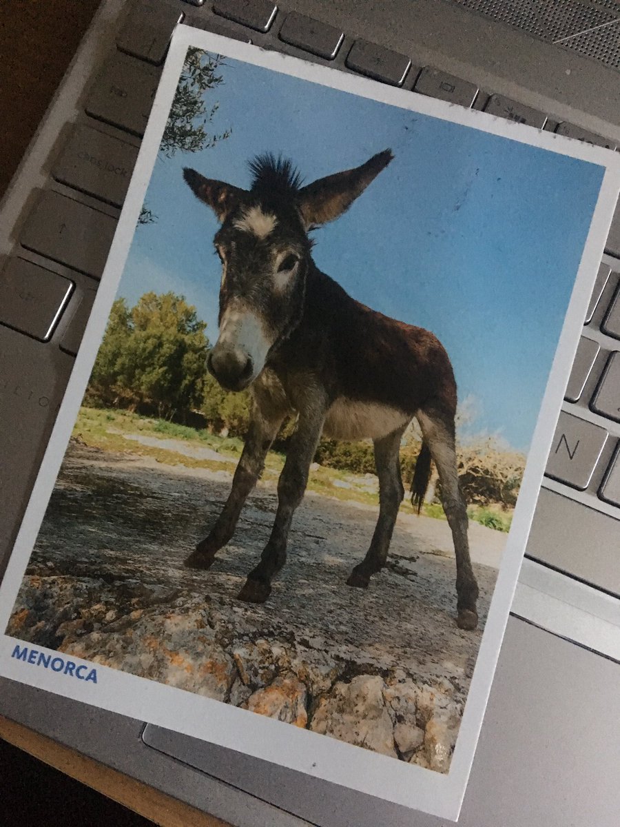 Smart eve at Liverpool’s finest small venue The Zanzibar - as <a href="/RongoRongo_band/">RongoRongo</a> once again exemplified why they’re on the top tier of NW live bands - blending Roxy Music, Suede &amp; dystopian doom it was Sat night sadness at it’s finest. Impressed with STORES too - VU Light &amp; shade.