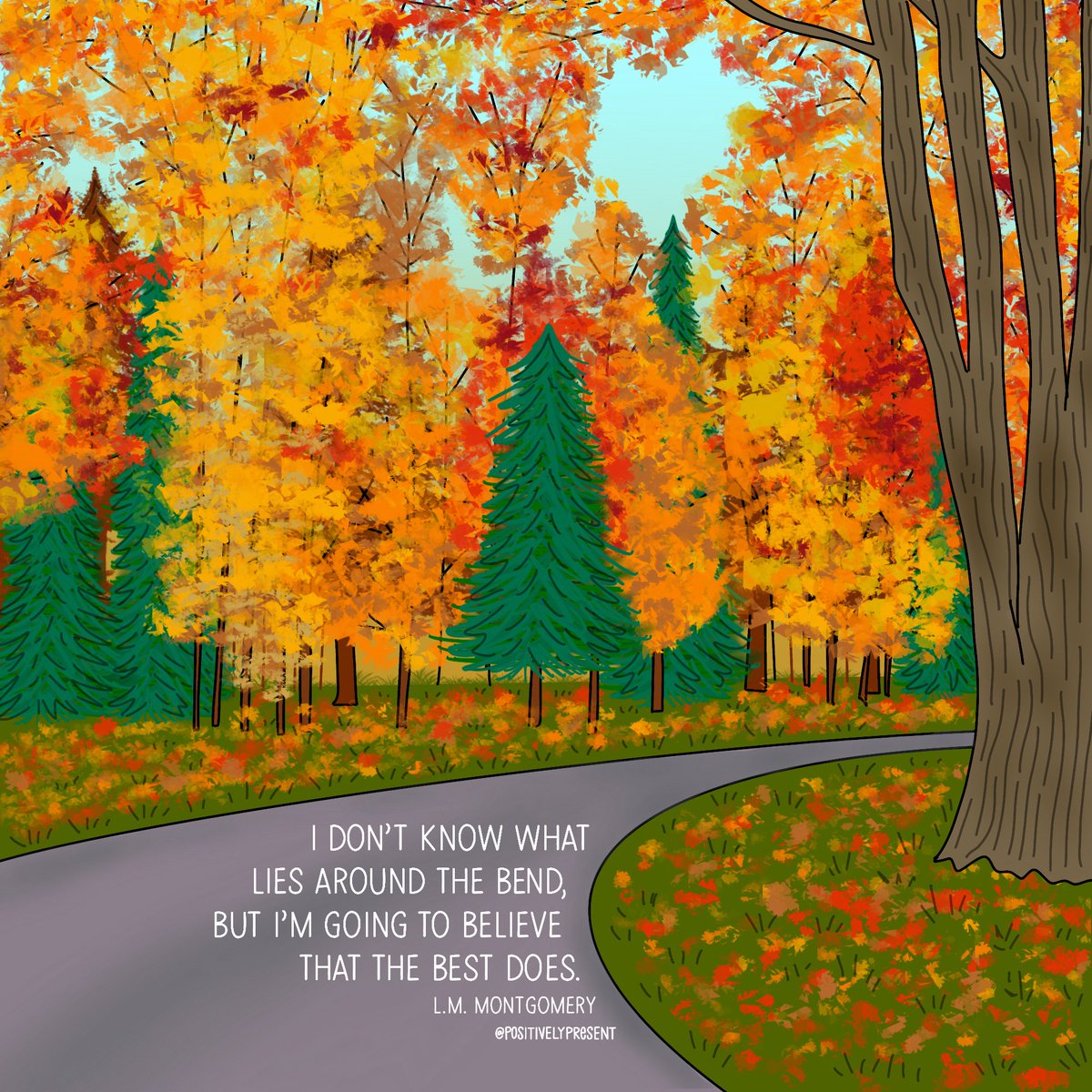 Positively Present (@positivepresent) on Twitter photo 10/01/2020 06:27:13 You never know what can happen... 🧡🍂🌲 You never know what can happen... 🧡🍂🌲