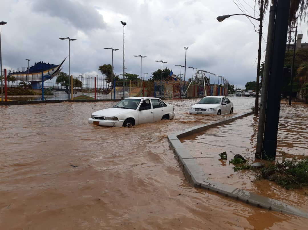 AVENIDA LA PLAYA MACUTO CONFUNDE A SUS USUARIOS @traffiCARACAS <a href="/LaVerdadVargas/">La Verdad Vargas</a> <a href="/Alanzola/">Altagracia Anzola</a>