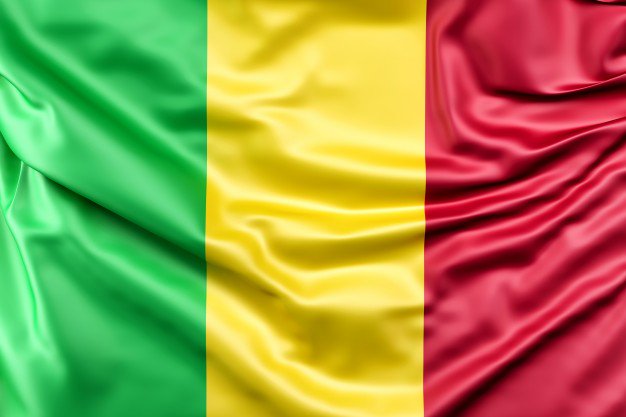 SMTD_SA's tweet photo. La SMTD-SA vous souhaite une bonne fête de l’Indépendance 🇲🇱 #SMTDSA #MALINUMERIQUE https://t.co/S8HL8fsrND