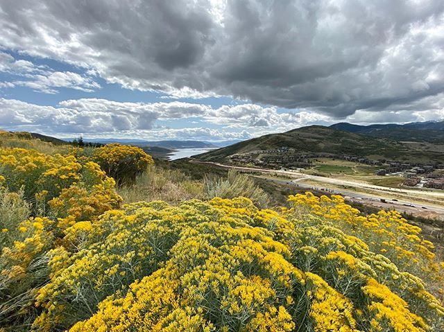 NeilLande's tweet photo. It’s starting to get pretty chilly in PC. I guess summer is over 🤷🏻‍♂️
. .
.
.
.
.
.
.
#parkcity #parkcityutah #utah #utahphotographer #utahisrad #landscapephotography #landscape_love #reservoir #jordanelle #skyandclouds #iphonepromax #itsgettingcold #su… https://t.co/m1nZuUfYFF https://t.co/WbkxPvVAHv