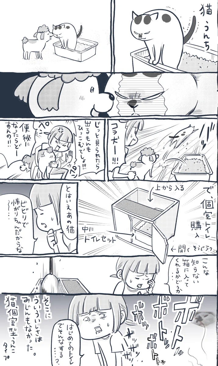 犬と猫どちらも飼っているとトイレ事情も色々異なりますww