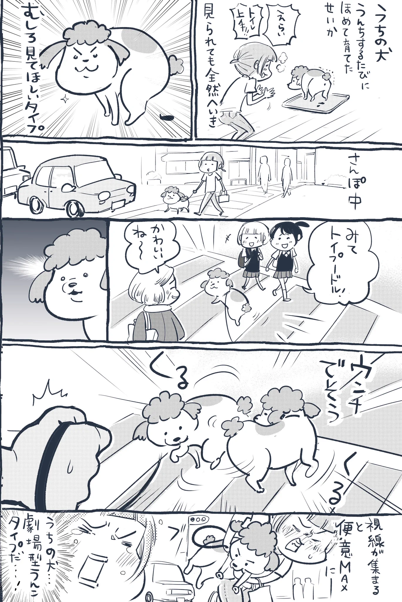犬と猫どちらも飼っているとトイレ事情も色々異なりますww