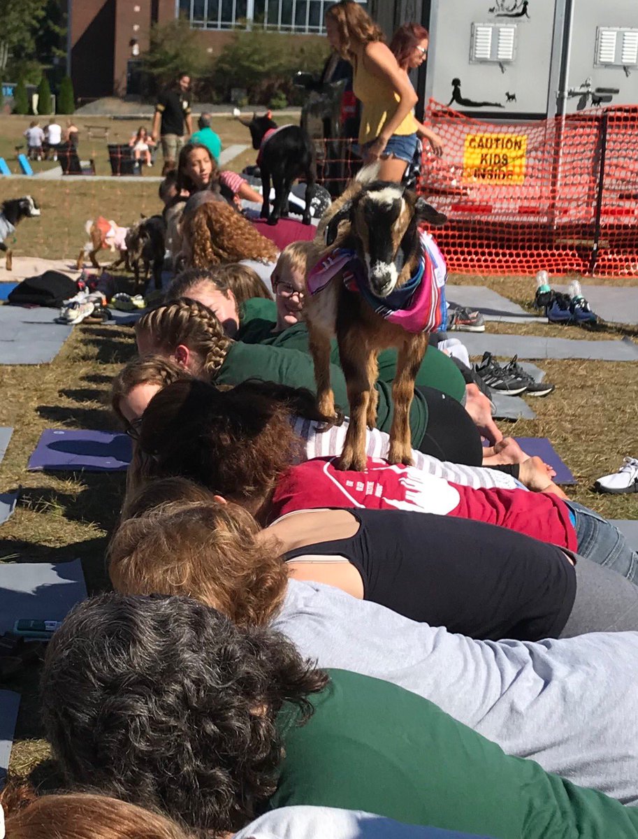 Then there was a line for goat yoga (very cute goats), goofy creative pumpkin painting, &amp; I hated pie-ing these guys but they were so great about it. Even some parents got into the yoga! After Mass, the day will end with a magician &amp; a bonfire! See you there - s’mores are calling