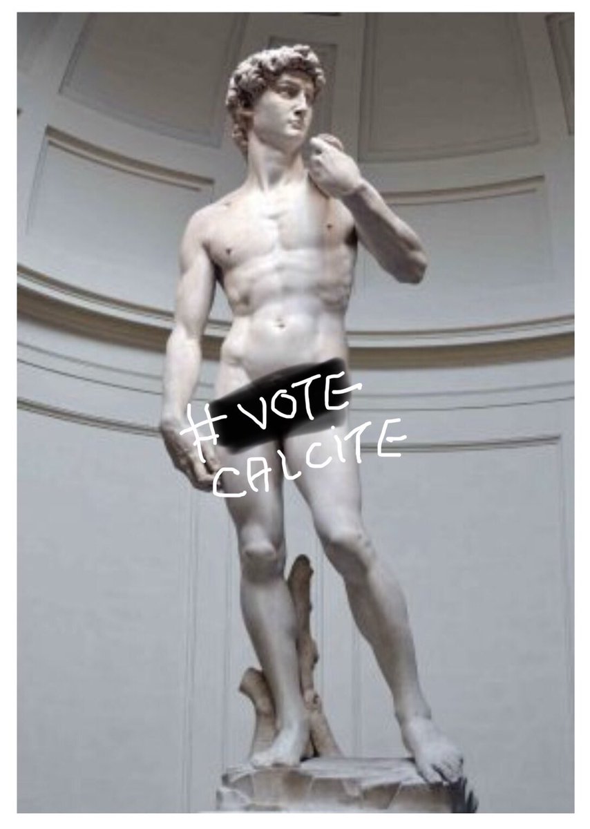 TweetyPAK's tweet photo. All this science stuff might be brain numbing. So take minute and chill with soothing ART! Art brought to you by Michelangelo & marble--a metamorphic rock of recrystallized carbonate minerals, most commonly #VoteCALCITE. #DoThatMagnatite! @MineralCup #StatueOfDavid https://t.co/FNioXmuQUX