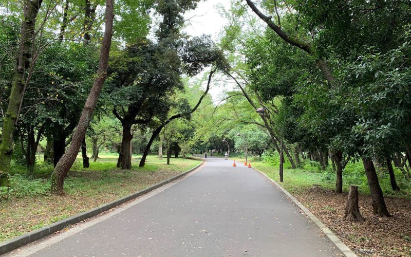 metabo_sub3's tweet photo. 光が丘ユニバーサル月例フルマラソン大会に参加。板橋cityフル以来半年ぶりのロング走。ハーフ手前からガス欠でぐだぐだボロボロでも歩かず完走できたことは収穫。練馬ジャズ祭盛り上がってました。https://t.co/gc9zkTpOtX　 #光が丘公園 https://t.co/pAklj8GlE8