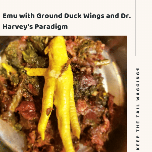 dr harvey's paradigm food