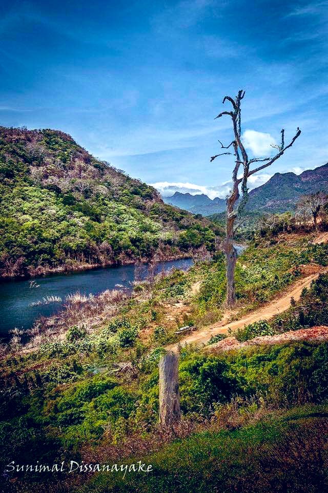 FindInLK's tweet photo. Hattota, Matale

Credits: Sunimal Dissanayake

#lka #SriLanka #travelphotography https://t.co/o4f3jangYt