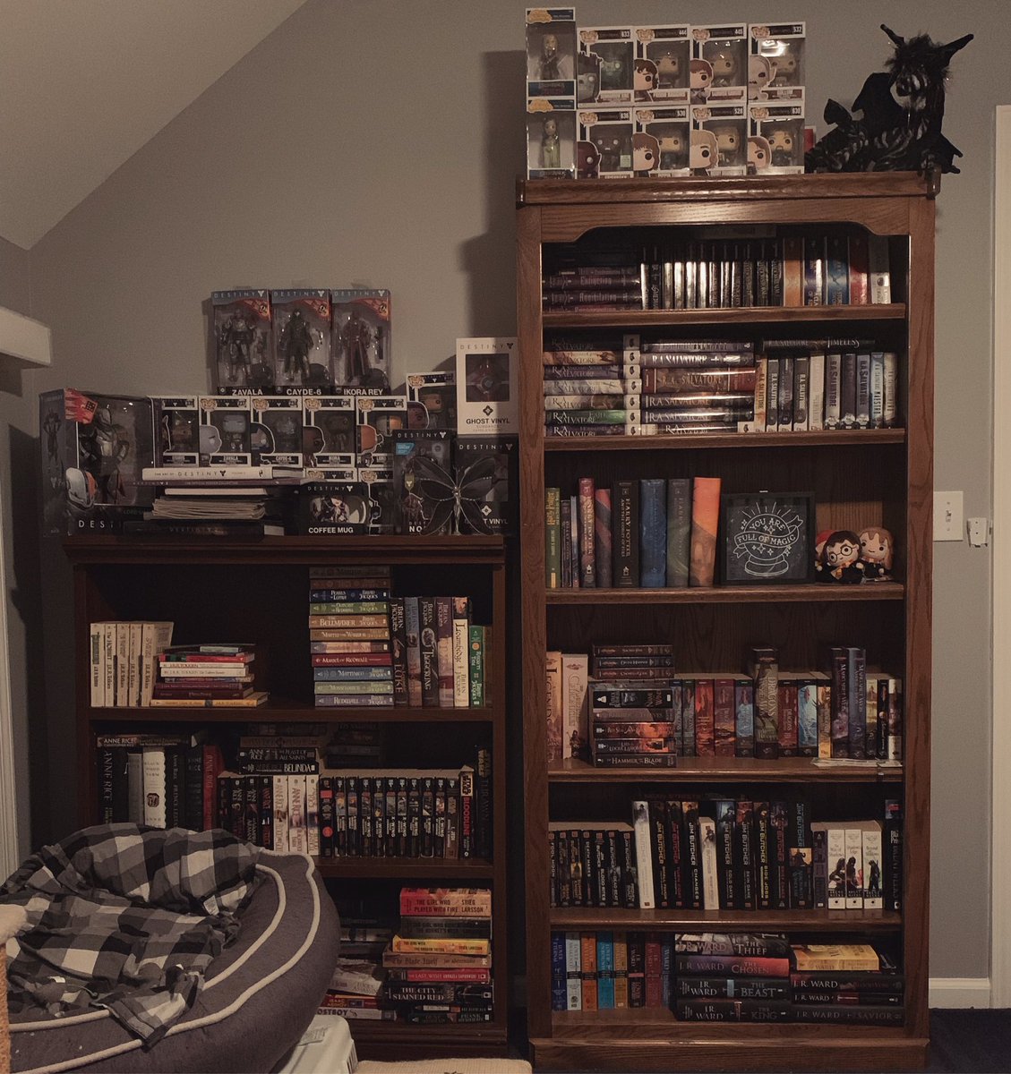 I’m pretty proud of my bookshelves. #DestinytheGame #Redwall #LotR #HarryPotter #ForgottenRealms #Dragonlance #DresdenFiles #VampireChronicles #BlackDaggerBrotherhood