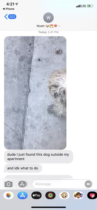 Hello Las Vegas/Henderson. This tiny cute baby girl was going on Maryland and Sahara. She seems lost