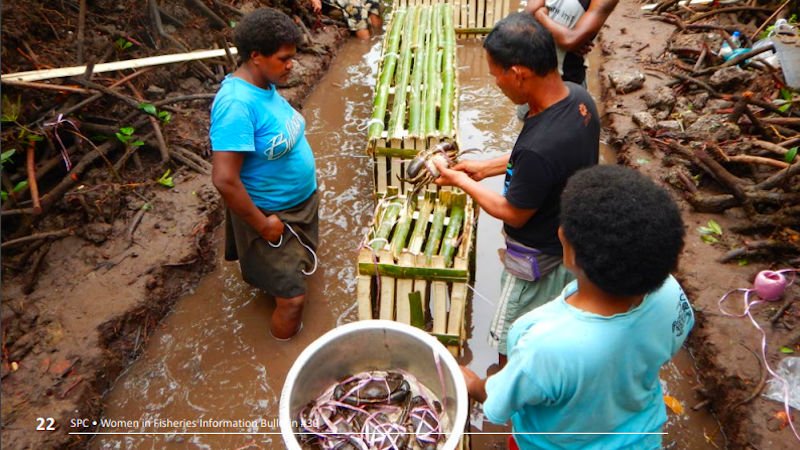 WaitabuFiji's tweet image. Waitabu Women fishers launch a mud crabs management plan for their fishery #WCSFiji #mudcrab #mudcrabs #WomeninFisheries #WaitabuFiji waitabu.org/2019/09/22/wai…