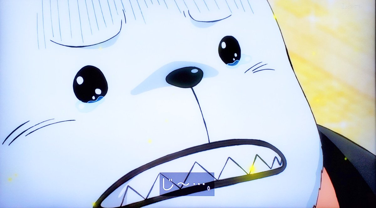 アイチのみかん かわいこぶるなって 可愛いなぁー ローさんに対して可愛い子ぶるという芸等を使うベポも可愛いです