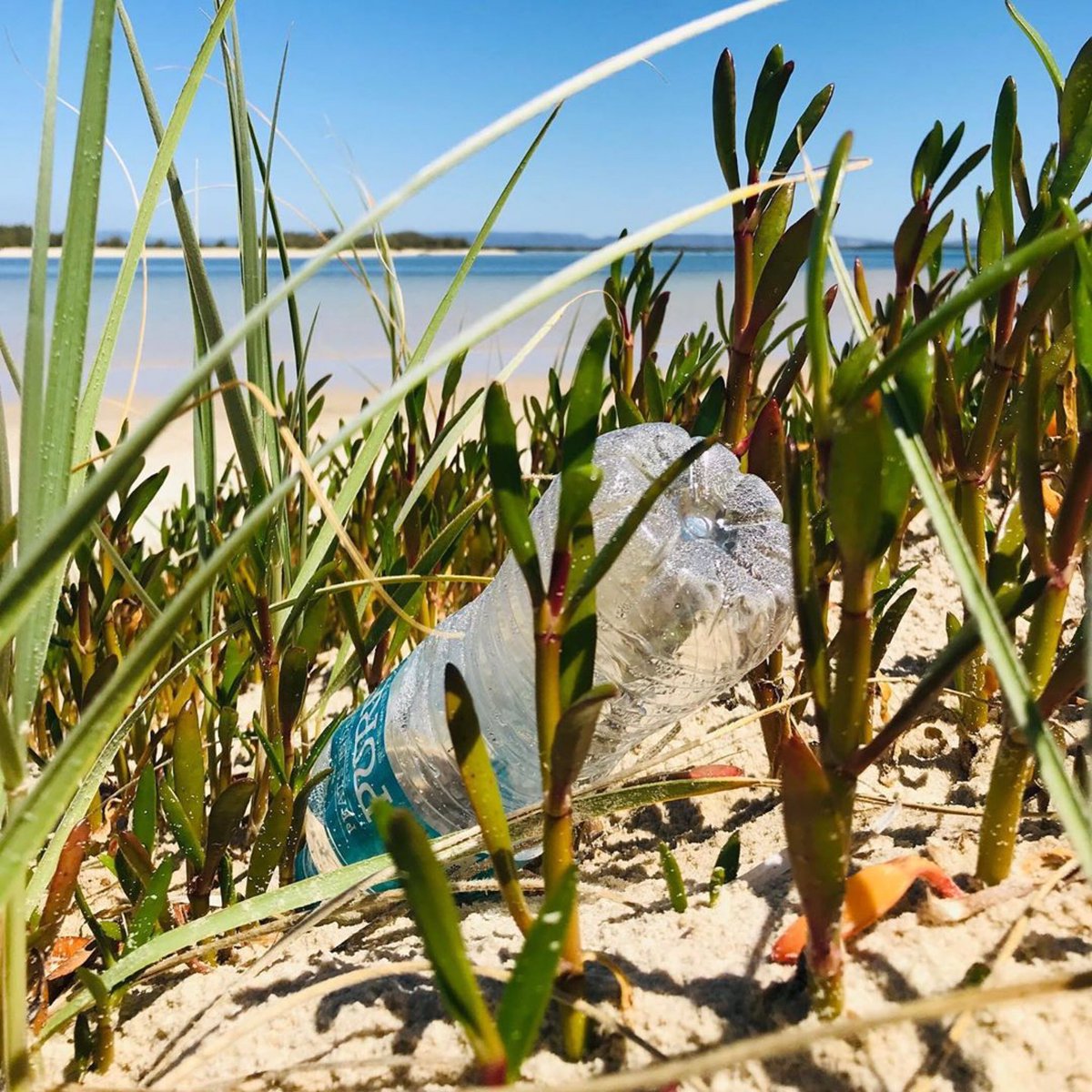 Sport2Clean's tweet photo. In preparation for the @COMMONWEALTHOC1 launch approaching, some great content has recently been added from Australia, New Zealand and Cook Islands. A dedicated initiative for students on Commonwealth Ocean Health start the conversation with your students tag #commonwealthocean https://t.co/mvSxBAY7hJ