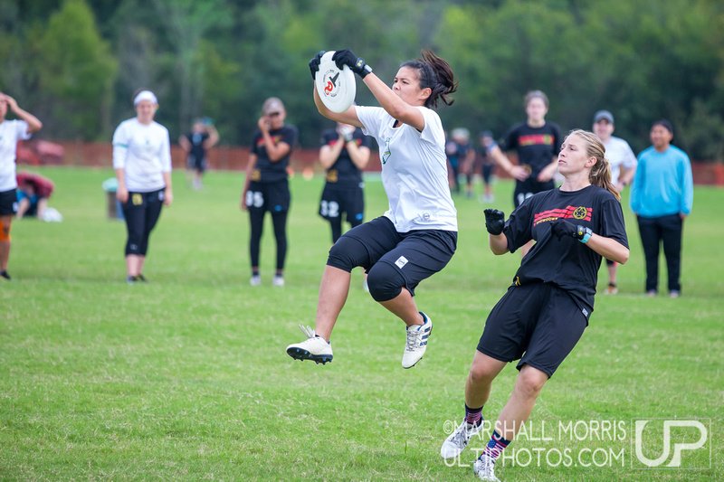 UltiPhotos tweet media