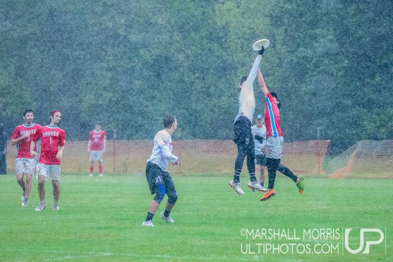 UltiPhotos tweet media